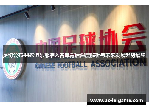 足协公布44家俱乐部准入名单背后深度解析与未来发展趋势展望 足协公布44家俱乐部准入名单背后深度解析与未来发展趋势展望