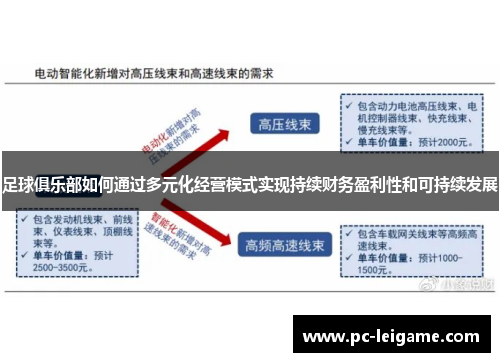 足球俱乐部如何通过多元化经营模式实现持续财务盈利性和可持续发展